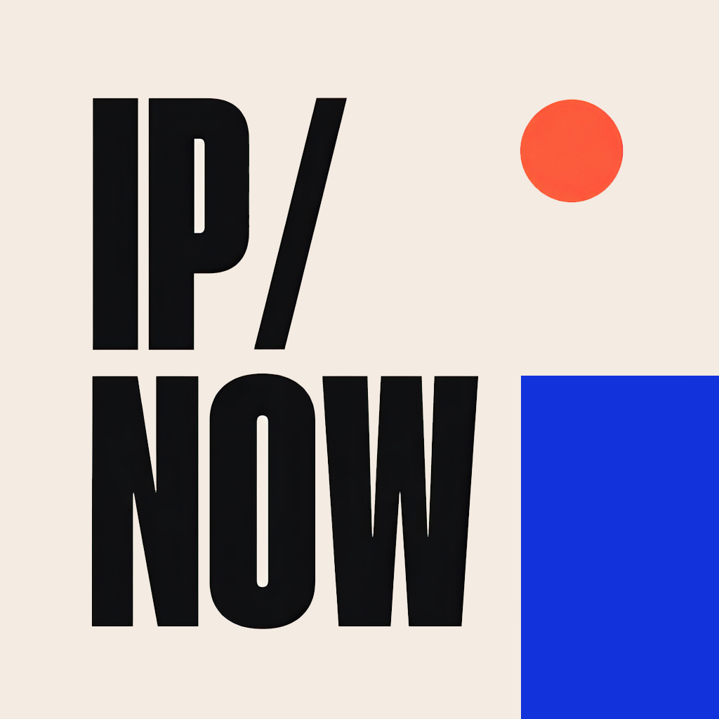 IP Now Icon